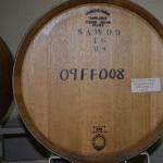 SanAntonio_0149 (June 11, 2016)